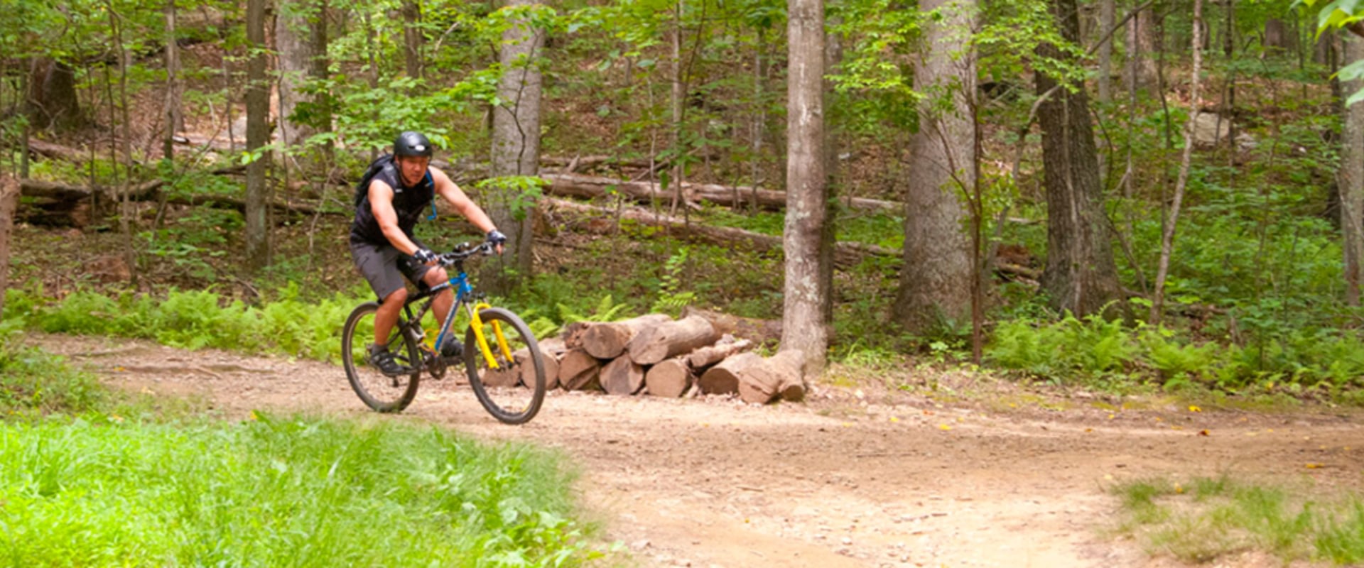 Exploring the Best Bike Trails Near Reston, VA