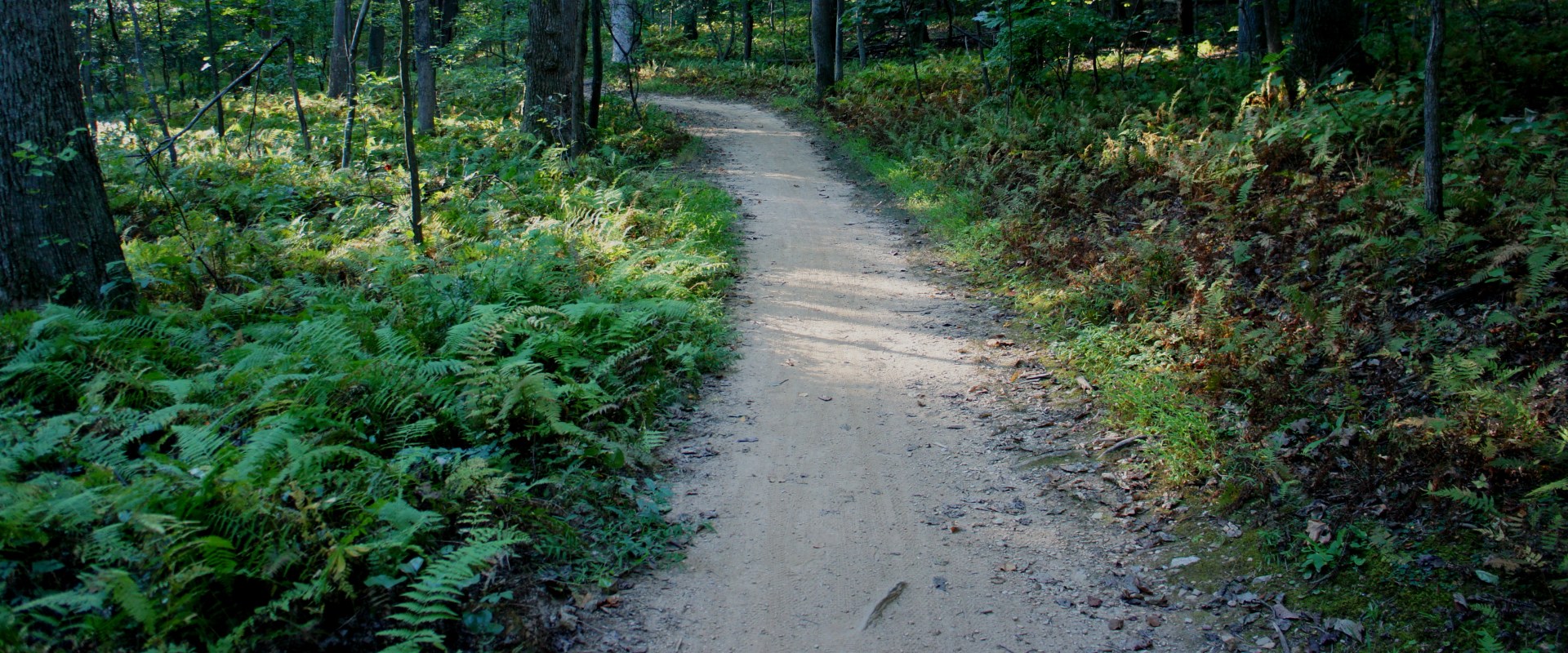 Exploring the Lake Anne Trail in Reston, VA