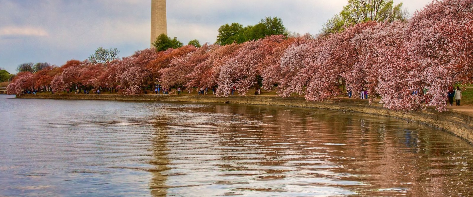 What is the Median Age of Residents in Reston, VA?