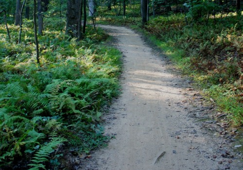 Exploring the Lake Anne Trail in Reston, VA