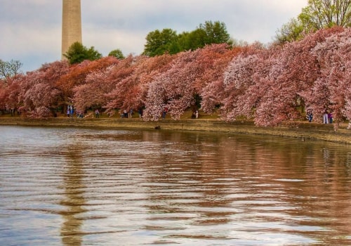 What is the Population of Reston, VA?